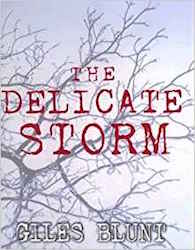 The delicate storm - Giles Blunt